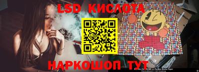 ПСИЛОЦИБИНОВЫЕ ГРИБЫ Заводоуковск