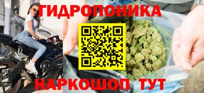 ПСИЛОЦИБИНОВЫЕ ГРИБЫ Заводоуковск