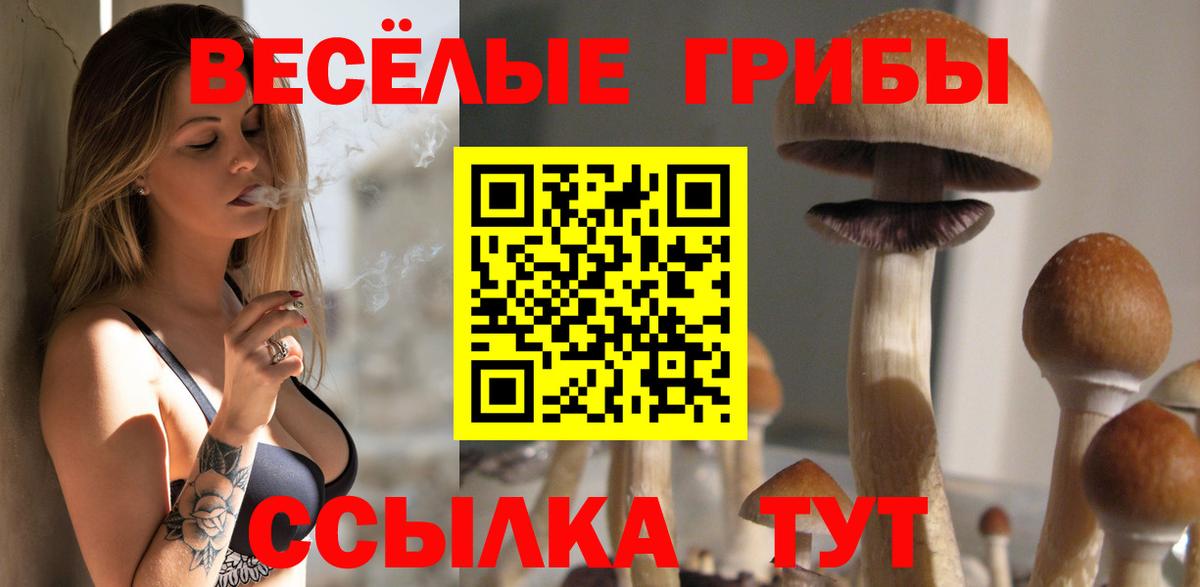 Псилоцибиновые грибы мухоморы  Галлюциногенные грибы мицелий  Вход с VPN  купить наркотики цена  Феодосия 